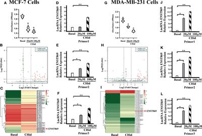 LncRNA ENST869 Targeting Nestin Transcriptional Region to Affect the Pharmacological Effects of Chidamide in Breast Cancer Cells